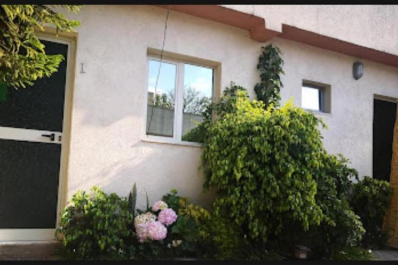 Wib Guesthouse 아디스아바바 외부 사진